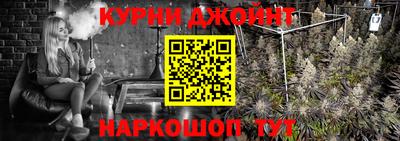 индика Новокубанск