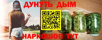 мдпв Новозыбков